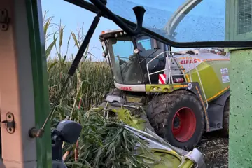 Maisernte auf dem Ferienhof am Chiemsee mit einem großen Häcksler